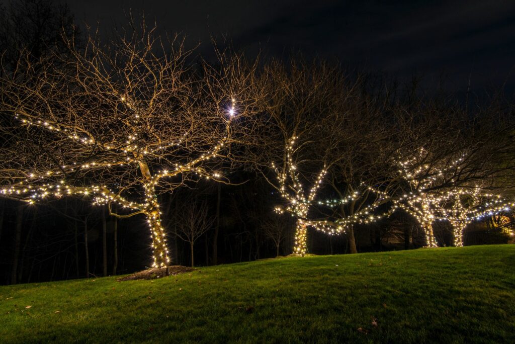 HOA Holiday Decorations