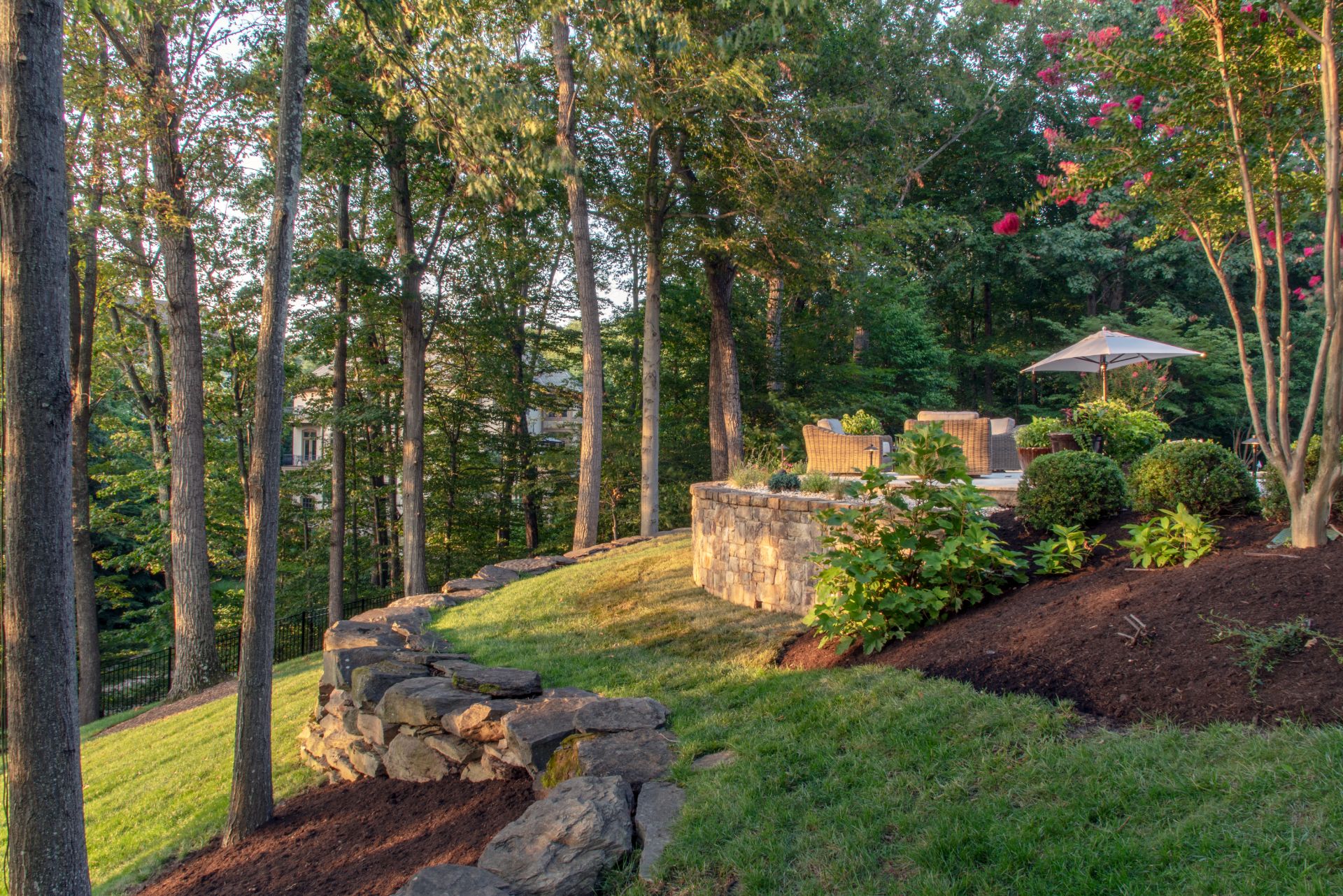 Professional Company Review