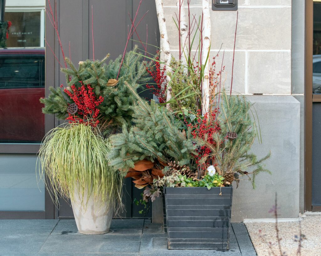 Shopping Center Holiday Decorations