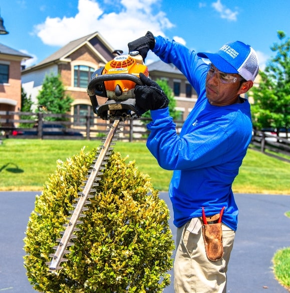 Shrub Care