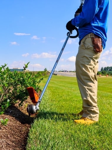 Lawn Maintenance