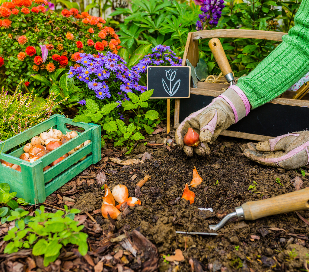 Our Complete Guide to Spring Flower Prep – K&H Landscape and Grounds ...