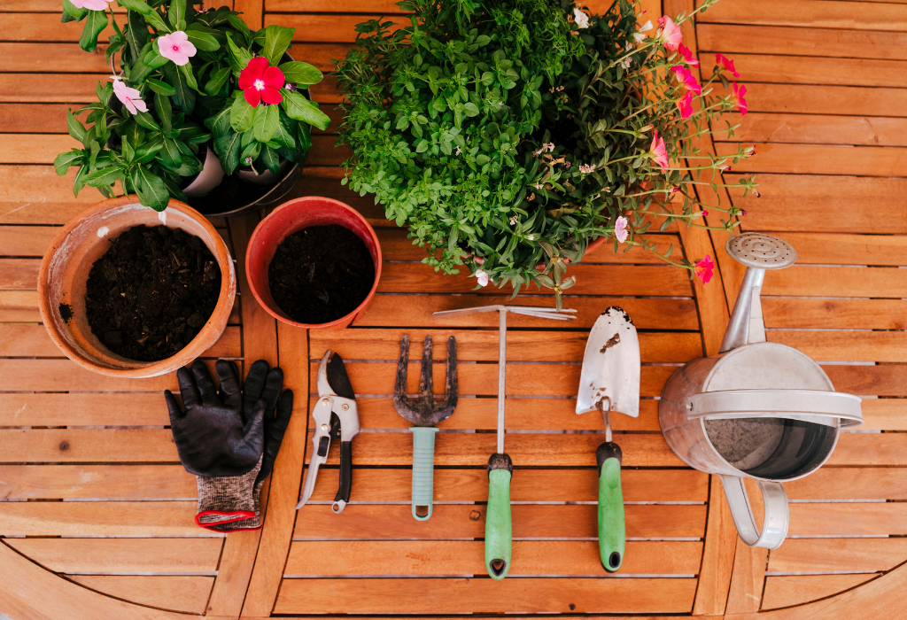 The Ultimate Guide to Winter Pruning – K&H Landscape and Grounds ...